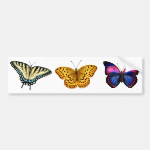 Butterflies Bumper Sticker