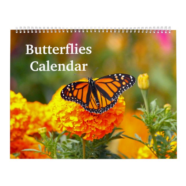 Butterflies Calendar (Cover)