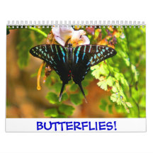 Butterflies! Calendar