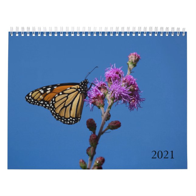 Butterflies Calendar (Cover)