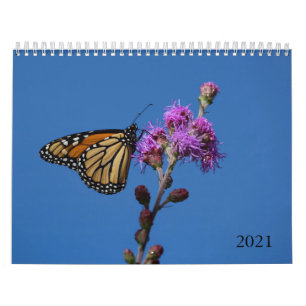 Butterflies Calendar