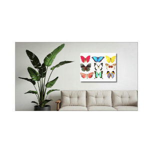 Butterflies Canvas Print
