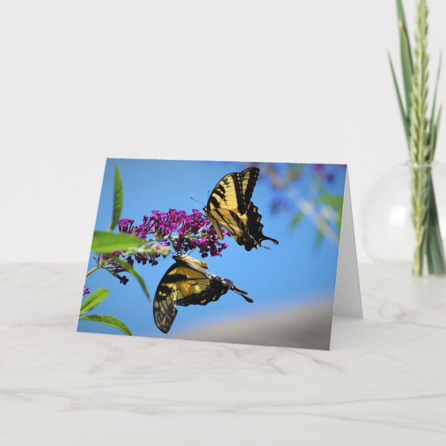 Butterflies, card (Front)
