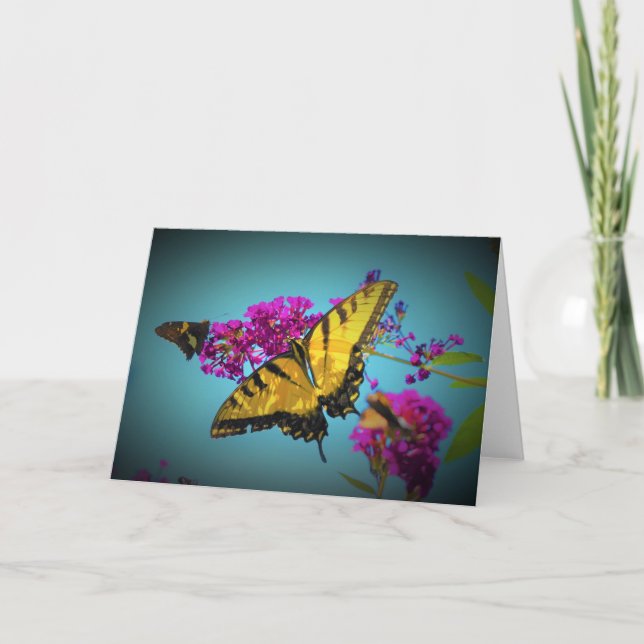 Butterflies, card (Front)