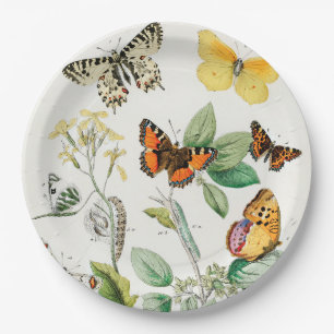 Butterflies, Caterpillars by William Forsell Kirby Paper Plate