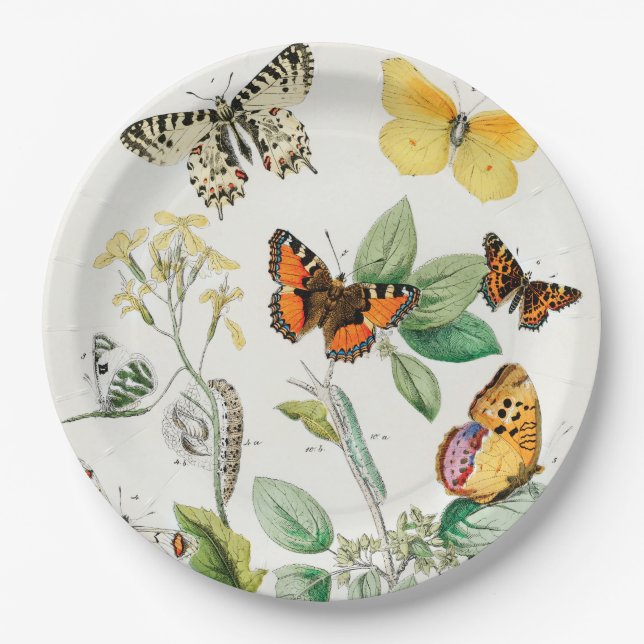 Butterflies, Caterpillars by William Forsell Kirby Paper Plate (Front)