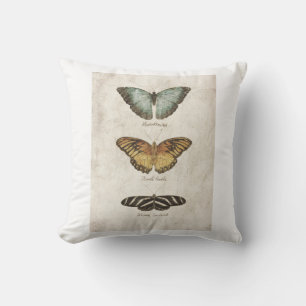 Butterflies collection cushion