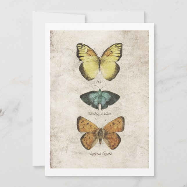 Butterflies collection invitation (Front)