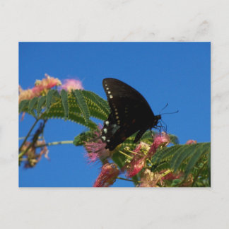 Butterflies Delight landscape scene Postcard