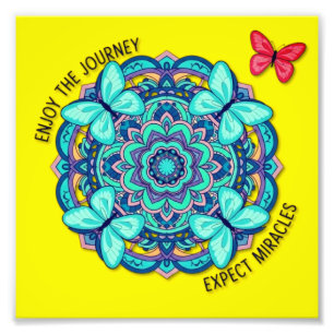 butterflies enjoy the jouney photo print