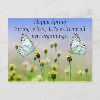 Butterflies Flowers Postcard