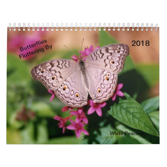 Butterflies Fluttering By Calendar (Cover)