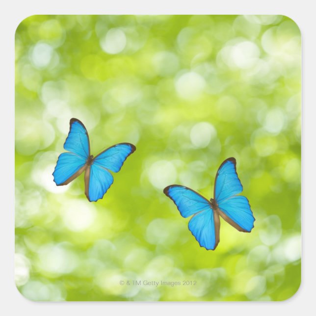 Butterflies flying, Digital Composite Square Sticker (Front)