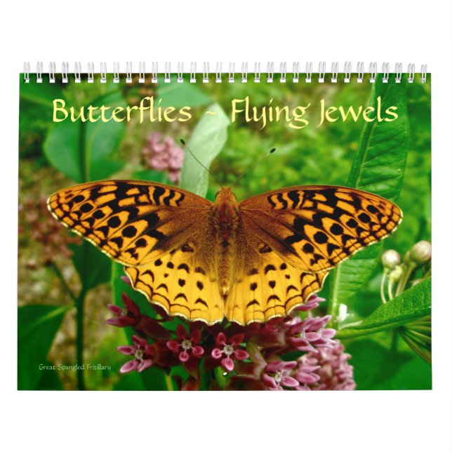 Butterflies - Flying Jewels Calendar (Cover)