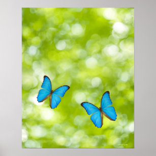 Butterflies flying poster