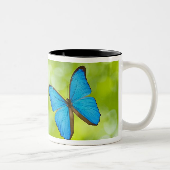 Butterflies flying Two-Tone coffee mug (Right)