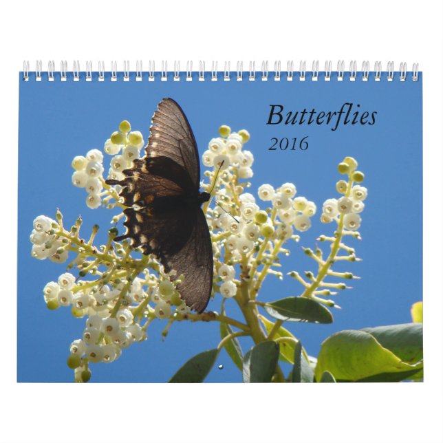 Butterflies for 2016 calendar (Cover)