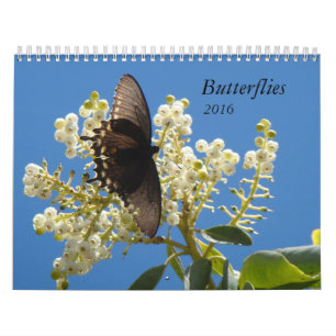 Butterflies for 2016 calendar