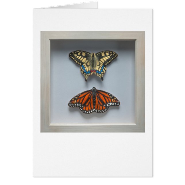 Butterflies 'in a frame' Entomology blank card (Front)