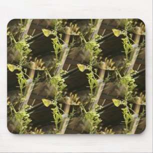 Butterflies in love.... mouse mat