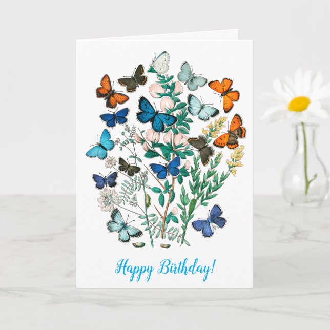 BUTTERFLIES IN NATURE BIRTHDAY CARD (Small Plant)