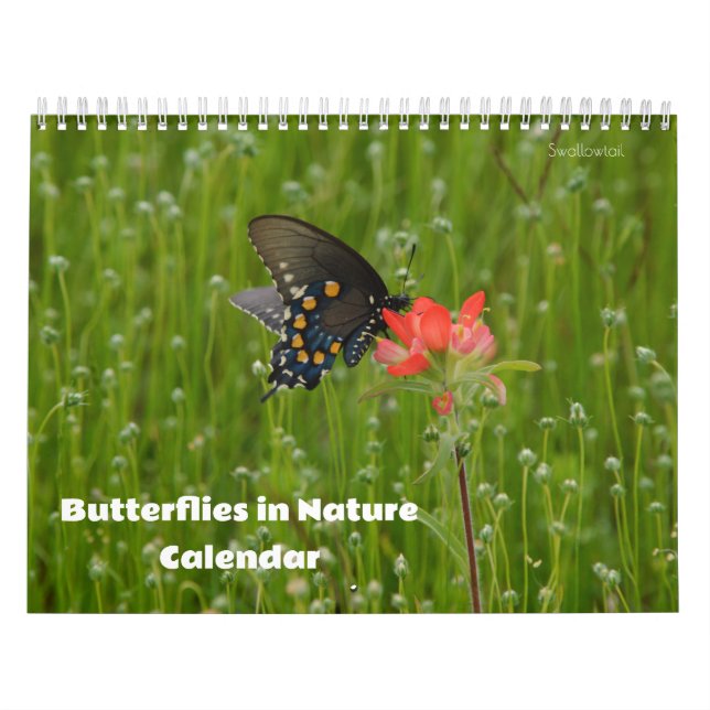 Butterflies in Nature Calendar (Cover)