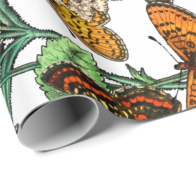 BUTTERFLIES IN NATURE WRAPPING PAPER (Roll Corner)