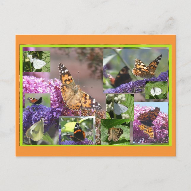 Butterflies in Summer Collage DIY Postcard (Front)