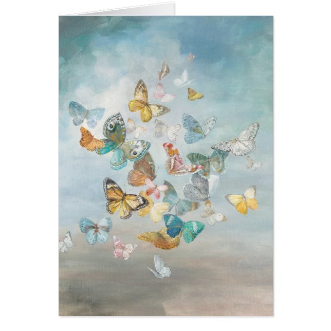 Butterflies in the Clouds (Front)