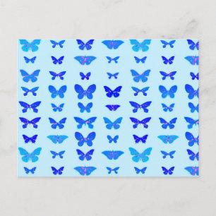 Butterflies, indigo, sky blue background postcard