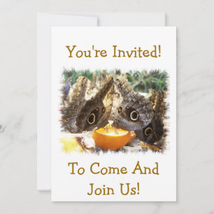 BUTTERFLIES INVITATION