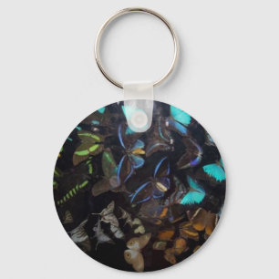 butterflies key ring