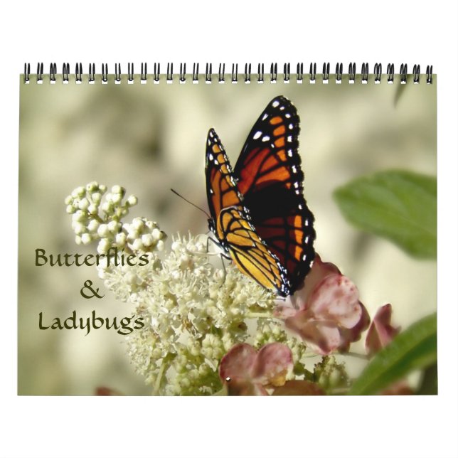 Butterflies & Ladybugs Photography Calendar (Cover)