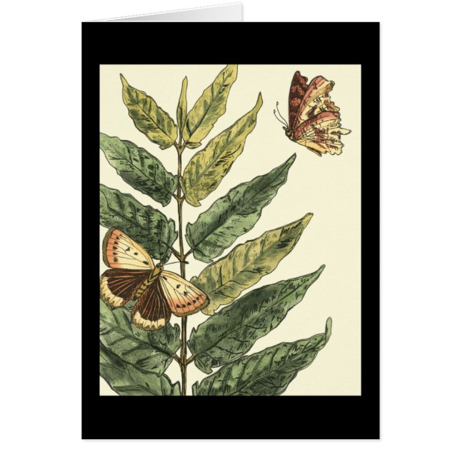 Butterflies & Leaves with Black Frame (Front)