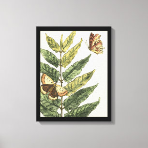 Butterflies & Leaves with Black Frame Canvas Print