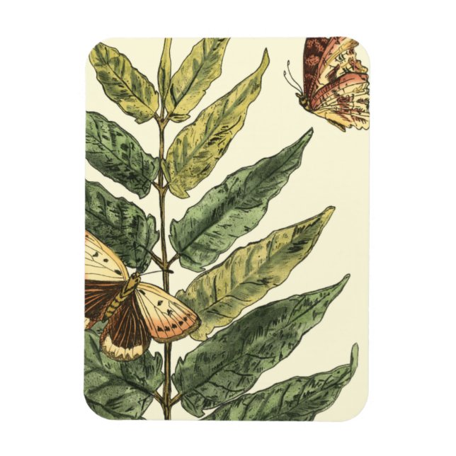 Butterflies & Leaves with Black Frame Magnet (Vertical)