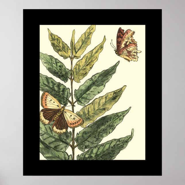 Butterflies & Leaves with Black Frame Poster (Front)