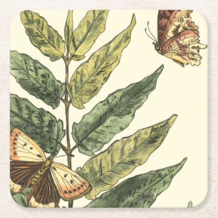 Butterflies & Leaves with Black Frame Square Paper Coaster