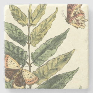 Butterflies & Leaves with Black Frame Stone Coaster