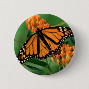 butterflies monarch butterfly 6 cm round badge