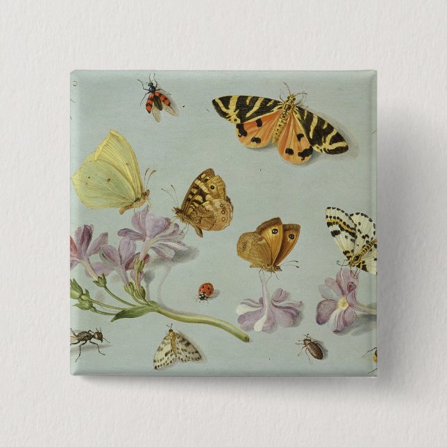 Butterflies, moths and other insects 15 cm square badge (Front)