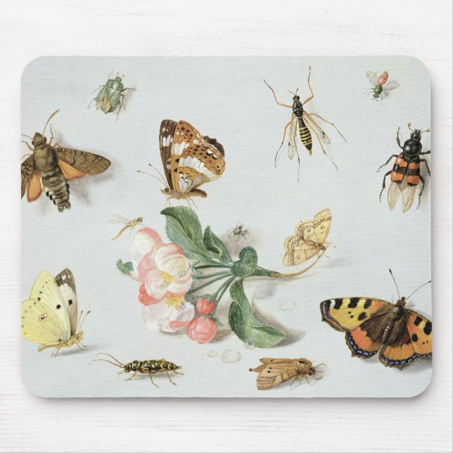 Butterflies, moths and other insects mouse mat (Front)