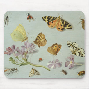 Butterflies, moths and other insects mouse mat