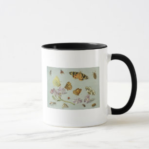 Butterflies, moths and other insects mug