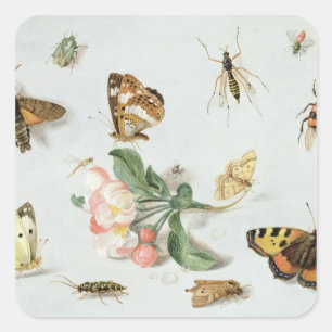 Butterflies, moths and other insects square sticker