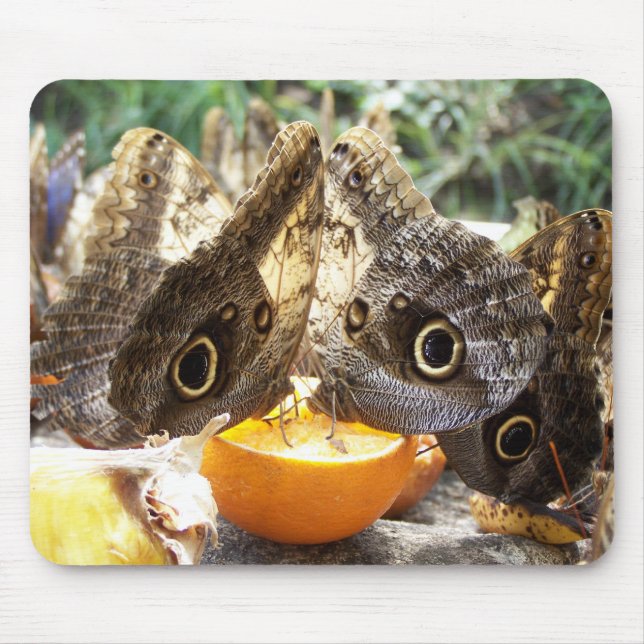 BUTTERFLIES MOUSE MAT (Front)