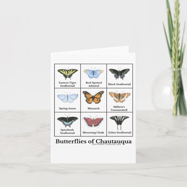 Butterflies of Chautauqua  Card (Front)