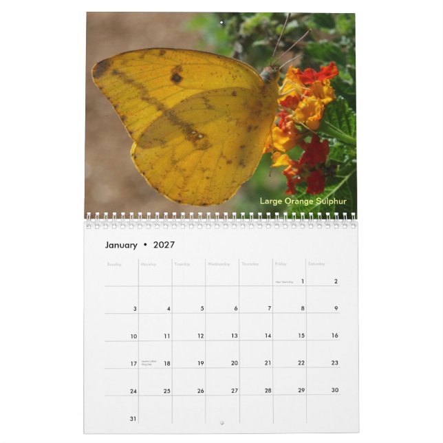 Butterflies of the Rio Grande Valley Calendar (Jan 2027)