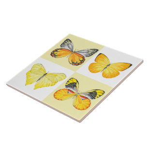 Butterflies on a Ceramic Tile ( 2 )