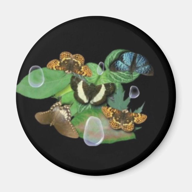 Butterflies on Leaves Magnet (Front)